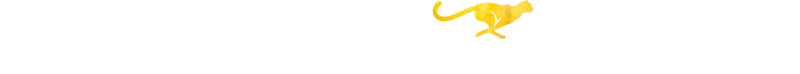 Logo Werbeagentur von Gebhard - Media Design